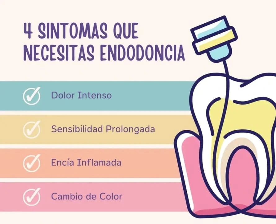 ¿Qué es una endodoncia y por qué es importante para tu salud dental? 2 Síntomas que sugieren la necesidad de una endodoncia